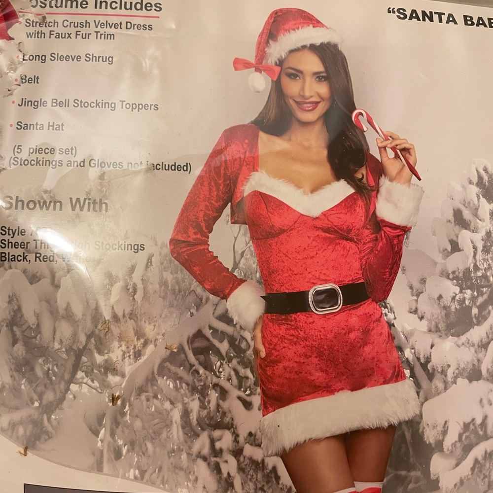 Santa Baby Women’s Costume